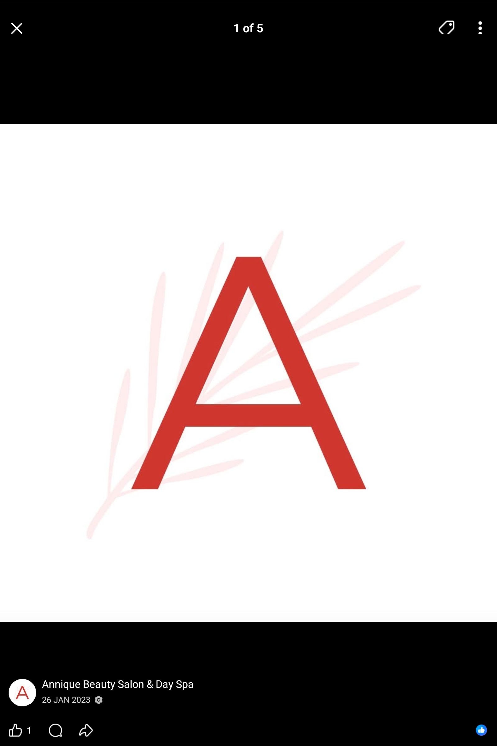 Annique Beauty Salon & Day Spa logo