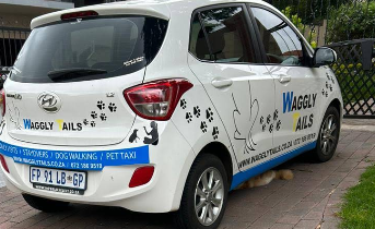 Waggly Tails