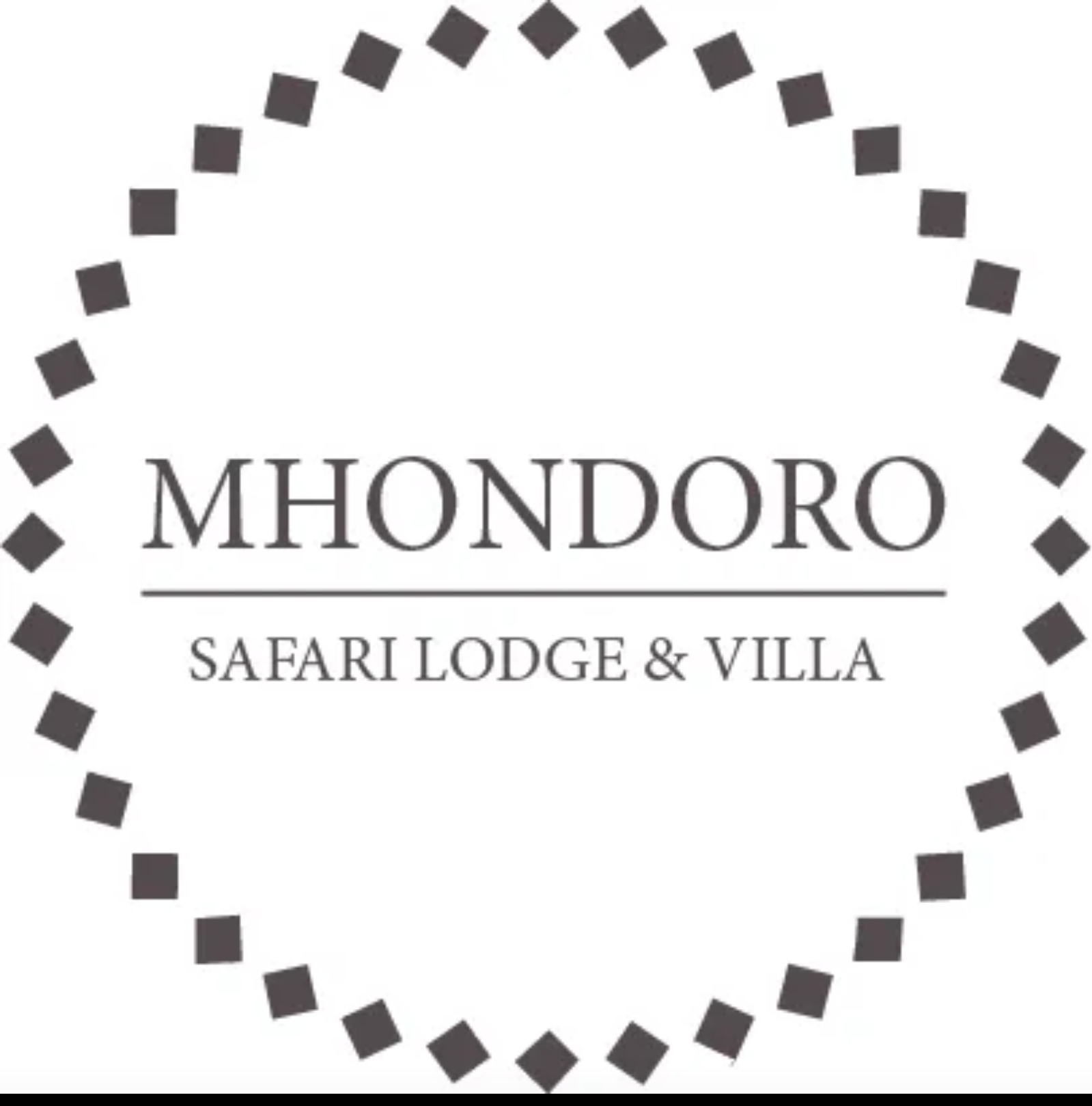 Mhondoro Safari Lodge and Villa banner