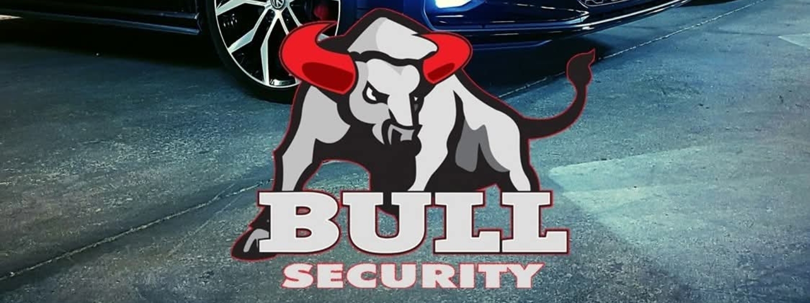 Bull Security banner