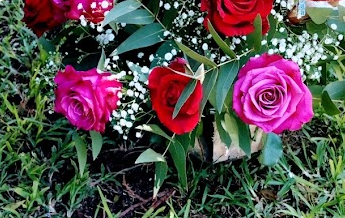 Always Fresh Flowers