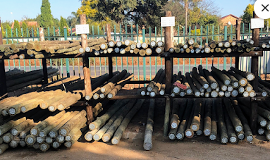 Centurion lapa poles