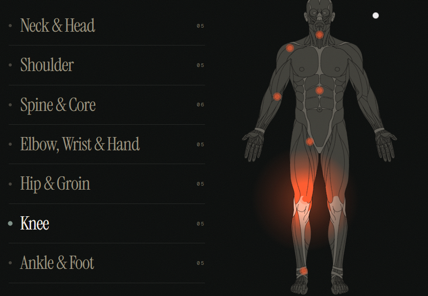 Drikus Klopper Physiotherapy banner