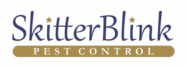 Skitterblink