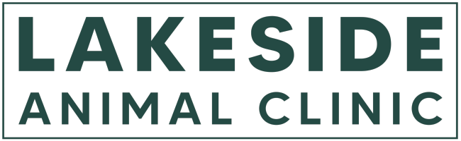 Lakeside Animal Clinic