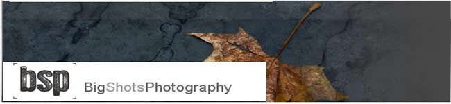 Big Shots Photography