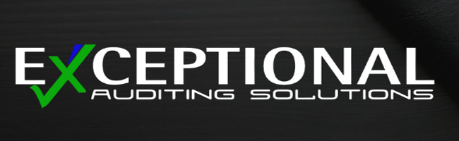 Exceptional Auditing Solutions