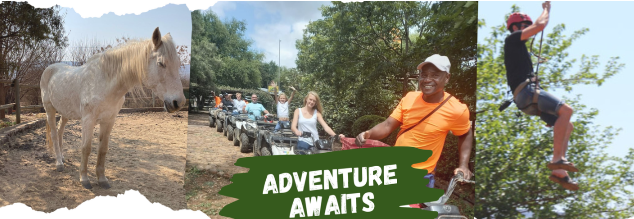 Hollybrooke Adventure Farm logo